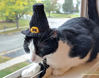 MADE TO ORDER Pilgrim Cat Hat-Pilgrim Hat-Crochet Pilgrim Cat Hat-Thanksgiving Cat Hat-Thanksgiving Pet Hat