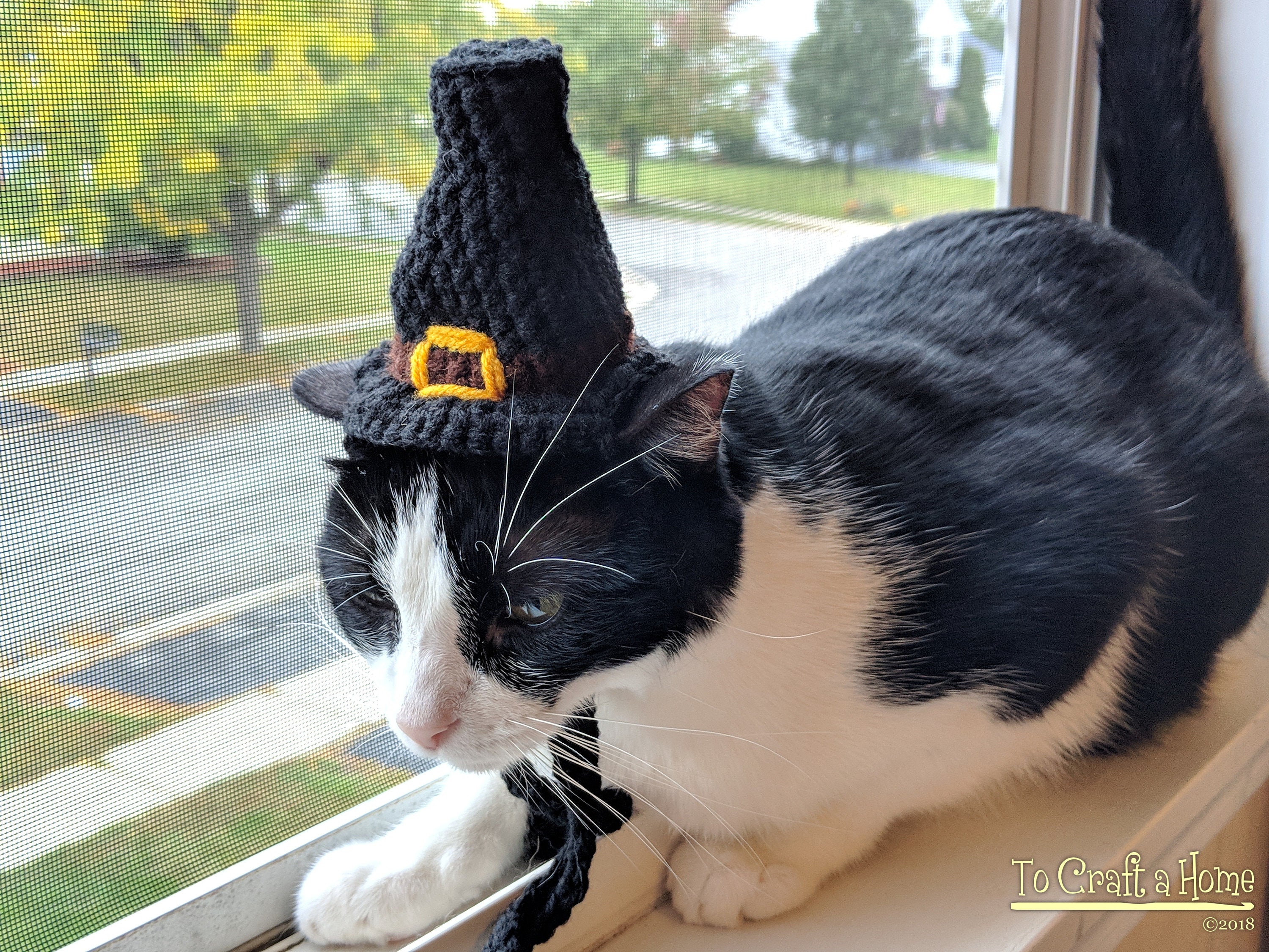 Made To Order Pilgrim Cat Hat Pilgrim Hat Crochet Pilgrim Cat Etsy