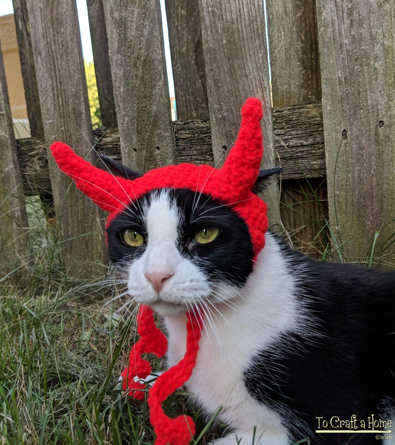 Devil Cat Hat Halloween Cat Costumes Cat Hat Clothes for | Etsy