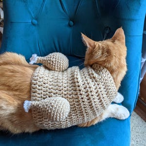 May include: An orange cat wearing a beige crocheted turkey costume, complete with drumstick attachments. The cat is lying on a teal blue chair. The costume is handmade and has a textured appearance.