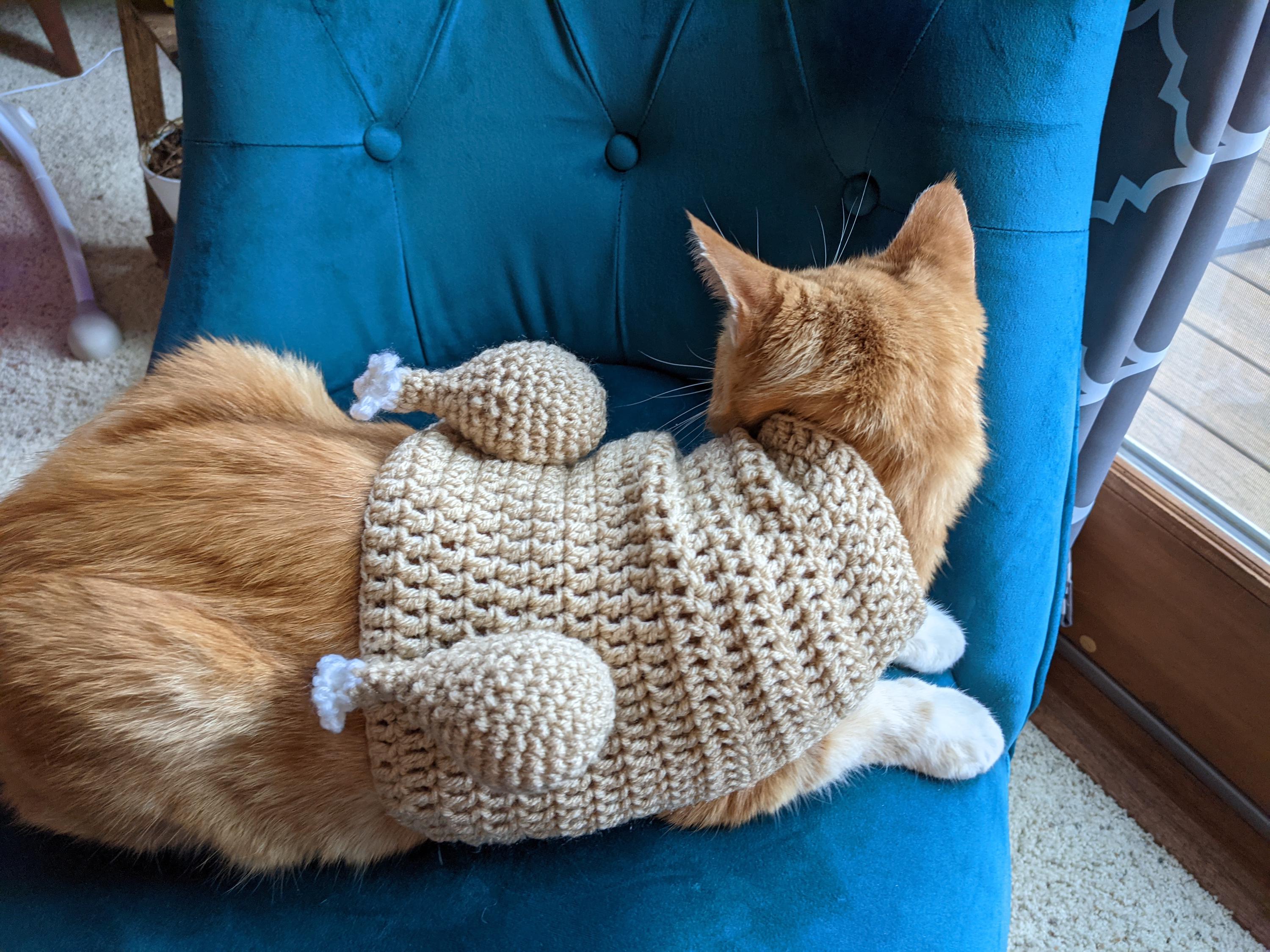 Cooked Turkey Cat Sweater Crochet Pattern PDF PATTERN ONLY - Etsy