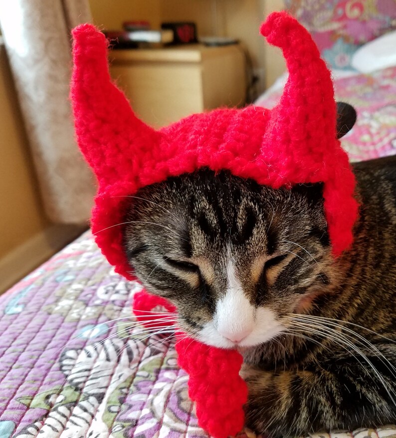 Devil Cat Hat Halloween Cat Costumes Cat Hat Clothes for | Etsy