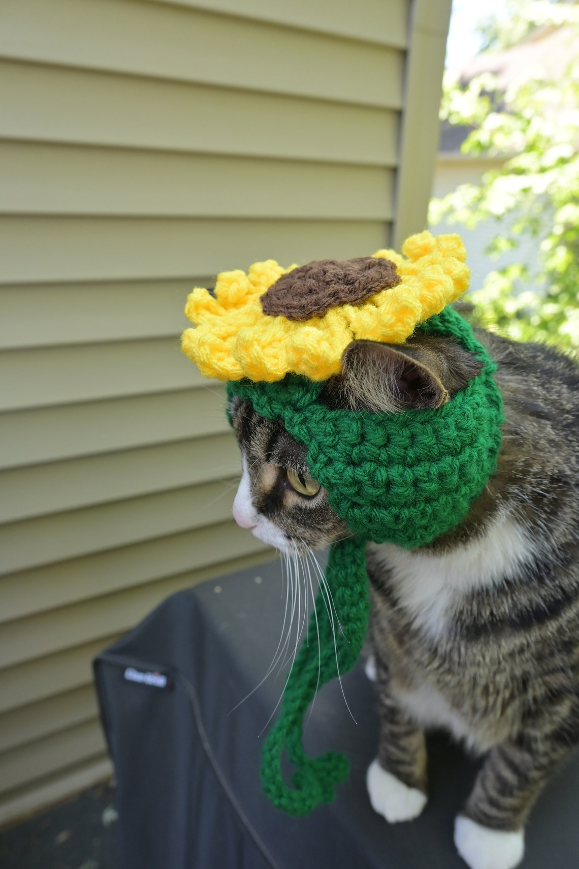 READY TO SHIP Sunflower Cat Hat Hats for Cats Clothes for Etsy