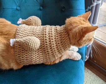 cat in sweater