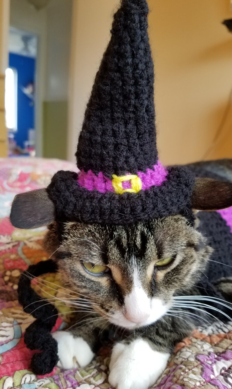 Cat Witch Costume with or without hat Cat Witch Hat Etsy Adorable outfits diy cat clothing for your furry friend