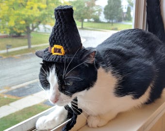 Pilgrim Cat Hat Crochet Pattern PDF