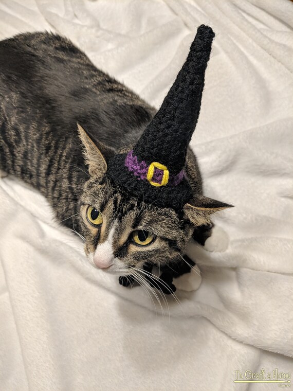 Cat Witch Hat Halloween Hats for Cats 