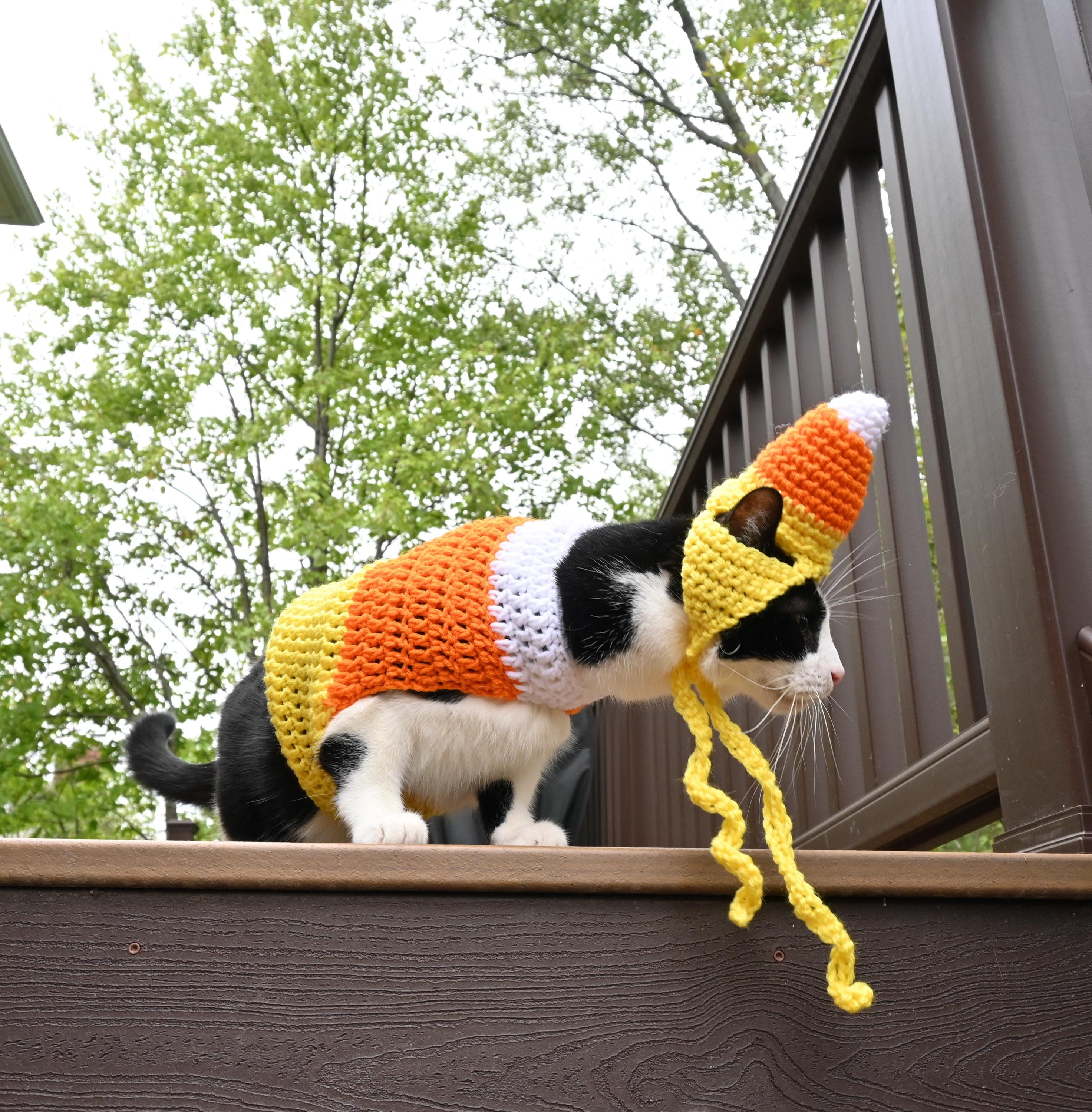 Crochet Candy Corn Cat Costume PDF Pattern Hat and Sweater Set - Etsy
