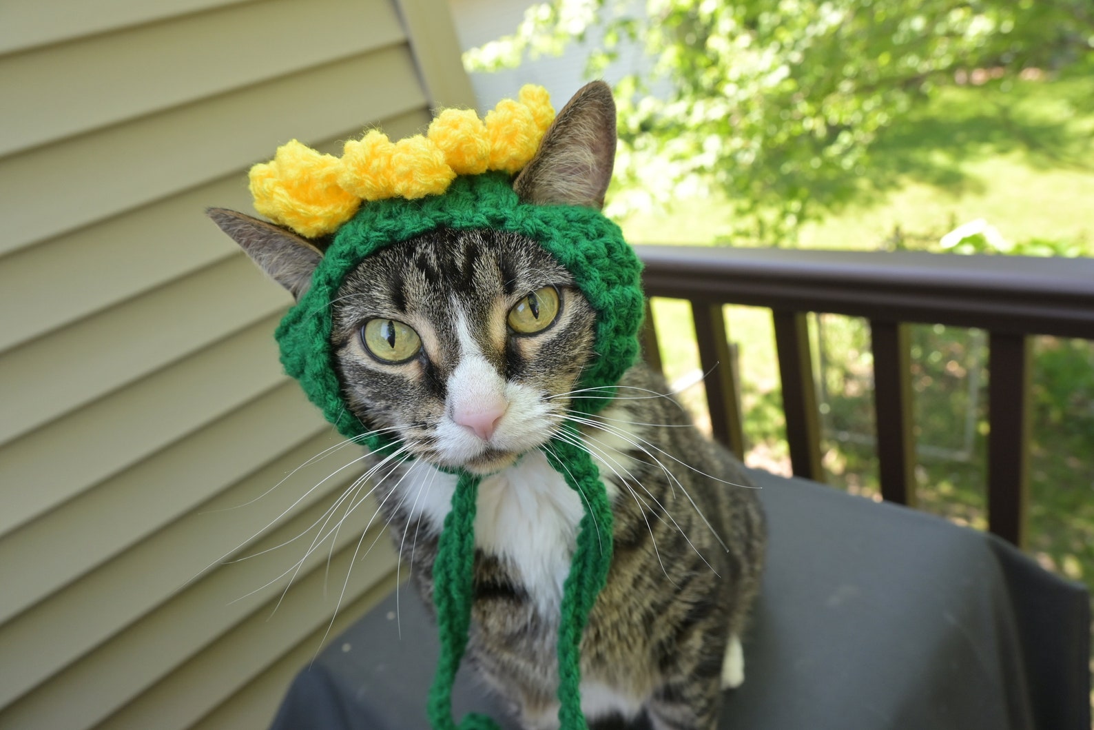 MADE TO ORDER Sunflower Cat Hat Hats for Cats Clothes for Cats Etsy