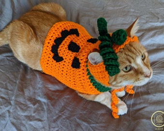 MADE TO ORDER Pumpkin Cat Costume/Sweater (with or without pumpkin hat)- Pumpkin Cat- Pumpkin Cat Hat- Jack o Lantern Cat