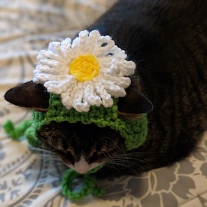 Daisy Cat Hat PATTERN ONLY PDF File