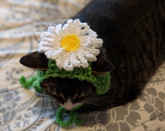 Daisy Cat Hat PATTERN ONLY PDF File