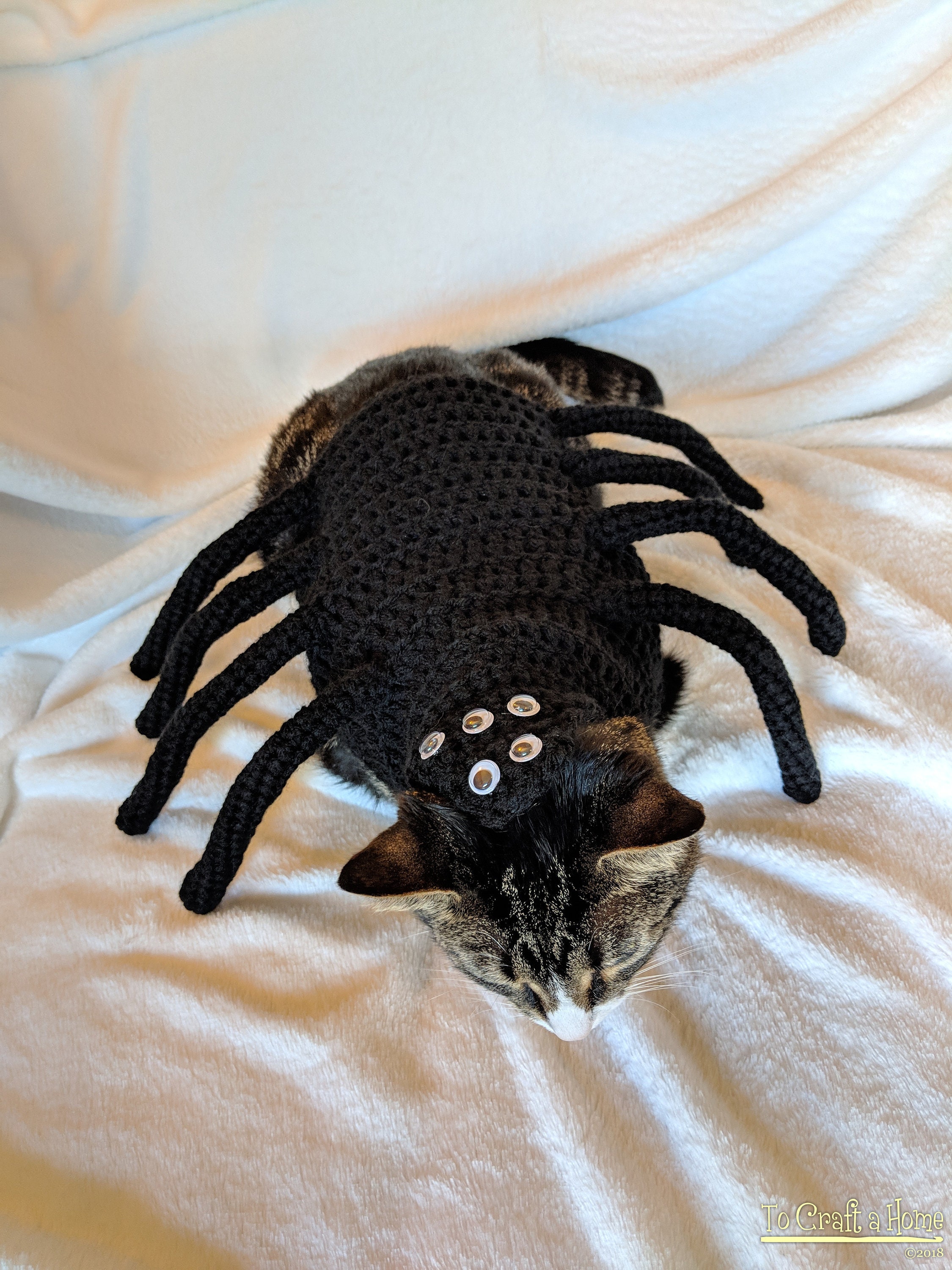 Включи кот паук. Кот паук. Кот в костюме паука. Костюм паука для кошки. Лапки для костюма паука.