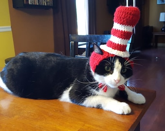 PDF ONLY Striped Cat Hat Crochet Pattern