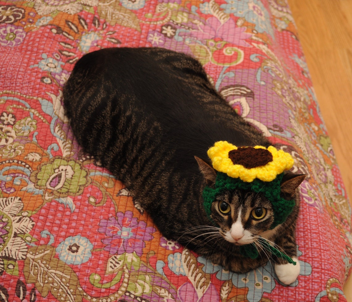 MADE TO ORDER Sunflower Cat Hat Hats for Cats Clothes for Etsy
