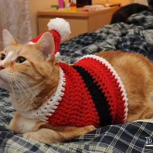 Crochet Santa Suit Cat Sweater- Ugly sweater for cats- Holiday Cat Sweater- Clothes for cats