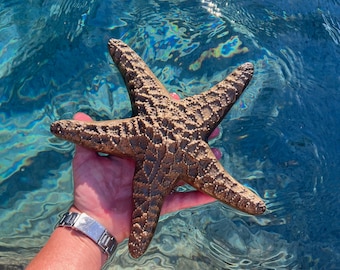 Vintage large solid brass starfish