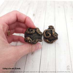 May include: Two dark bronze-colored cabinet knobs featuring a sculpted octopus design with visible tentacles wrapped around a central shell-like texture. The knobs have a weathered, metallic finish with dark recessed areas and lighter highlights.