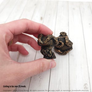 May include: A dark bronze-colored cabinet knob featuring a textured, organic shape with raised circular details resembling suction cups. The knob has a weathered, metallic finish with deep shadows in the crevices, highlighting its intricate, sculptural form.