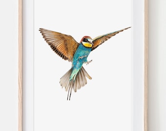 Bee-eater, portrait drawing fine art print, giclée print, illustration poster Janine Sommer animal drawing bird drawing birds