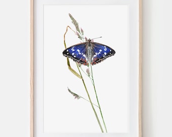 Iridescent Butterfly Drawing Fine Art Print, Giclée Print Illustration Janine Sommer