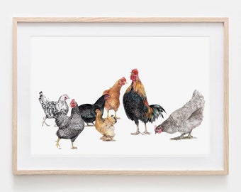 7 poulets Portrait dessin Fine Art Print, Giclée Print, Illustration Poster Janine Sommer Animal Drawing Chicken Drawing