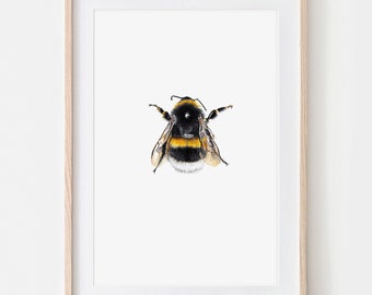 Dark Earth Bumblebee 01 Bumblebee Drawing Insects Fine Art Print, Giclée Print Illustration Poster Janine Sommer Nature Illustration