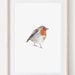 see more listings in the DRAWINGS BIRDS section