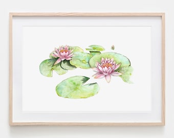 Water Lilies, Drawing Poster Fine Art Print, Giclée Print Illustration