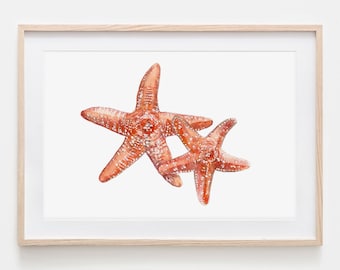 Watercolor Starfish Portrait Drawing Fine Art Print, Giclée Print Illustration Poster Janine Sommer Animal Drawing Sea Creatures