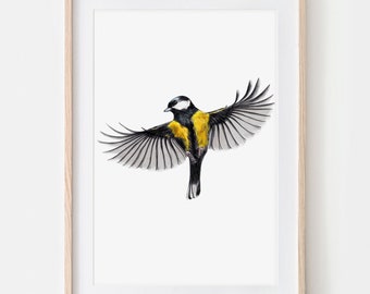 Kohlmeise im Flug Porträt Zeichnung Fine Art Print, Giclée Print, Illustration Poster Janine Sommer Tierzeichnung Vogelzeichnung Gartenvögel