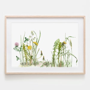 Ein Stück Wiese, Wildblumen, Zeichnung, Fine Art Print, traditionelle Arbeit, Aquarell von Hand gezeichnet, botanische Illustration