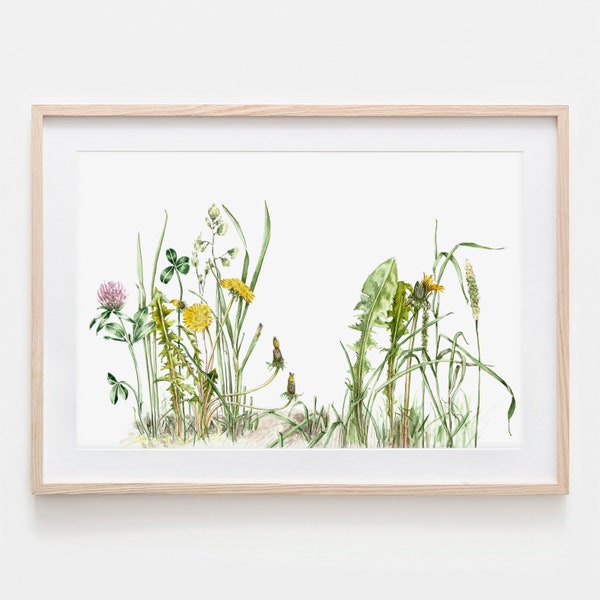 Ein Stück Wiese, Aquarell Zeichnung Poster Fine Art Print, Giclée Print Wiesenblumen Wildblumen