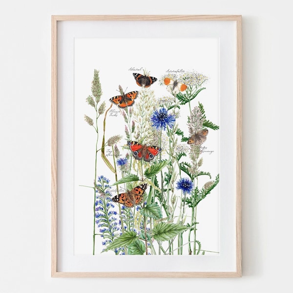 Wiese mit Schmetterlingen , Falter Zeichnung, Insekten Poster, Schmetterlingposter, Kunstdruck Tagfalter, Art Print, Insekten Illustration,