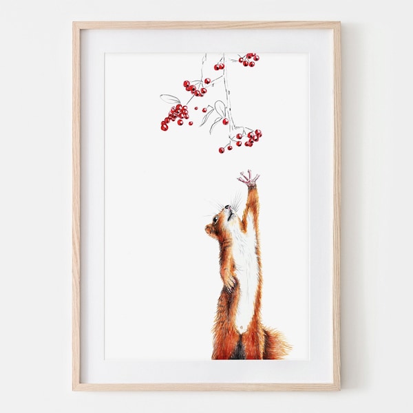 Eichhörnchen mit Beeren Eichhörnchenzeichnung Porträt Zeichnung Fine Art Print, Giclée Print Illustration Poster Janine Sommer Tierzeichnung