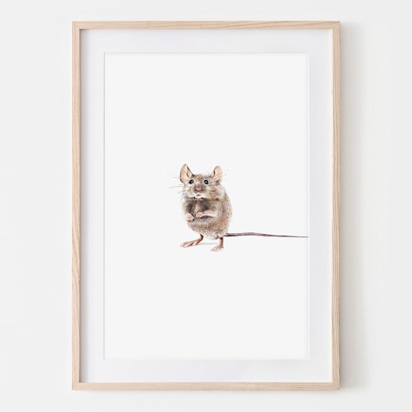 Illustration Hausmaus Zeichnung Fine Art Print, Giclée Print Poster Wall Art Janine Sommer  Tierzeichnung