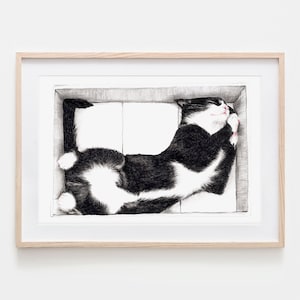 Cat in a Box Cat Drawing Portrait Drawing Fine Art Print, Giclée Print Illustration Poster Janine Sommer Animal Drawing image 1