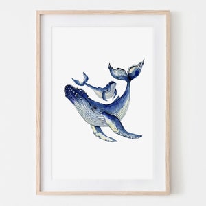 Watercolor Humpback Whale Drawing Fine Art Print, Giclée Print Poster Janine Sommer Animal Drawing image 1