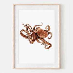 Watercolor Octopus Octopus Portrait Drawing Fine Art Print, Giclée Print Illustration Poster Janine Sommer Animal Drawing Sea Creatures