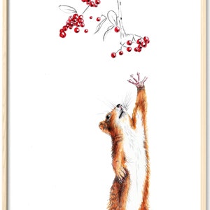 Squirrel with Berries Squirrel Drawing Portrait Drawing Fine Art Print, Giclée Print Illustration Poster Janine Sommer Animal Drawing
