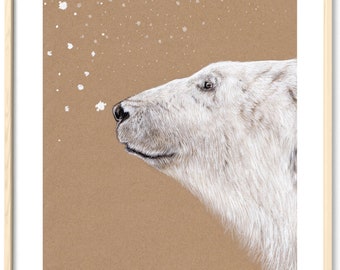 Polar Bear Polar Bear Portrait Drawing Fine Art Print, Giclée Print Illustration Poster Janine Sommer Animal Drawing