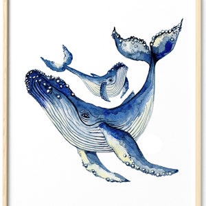 Watercolor Humpback Whale Drawing Fine Art Print, Giclée Print Poster Janine Sommer Animal Drawing image 6