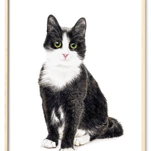 Katze Murmelauge Porträt Zeichnung Fine Art Print, Giclée Print Illustration Poster Janine Sommer Tierzeichnung Katzenposter Bild 6