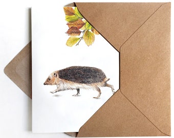 3x Greeting Card Hedgehog Birthday Card Greeting Card Hedgehog Card Autumn Greetings