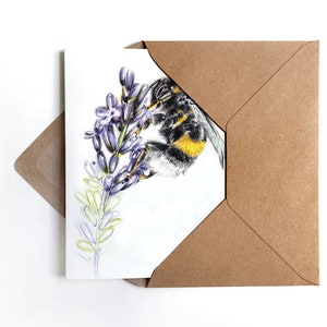Hummel im Lavendel Grußkarte Glückwunschkarte Blumen Geburtstagskarte Insekten Zeichnung botanische Illustration