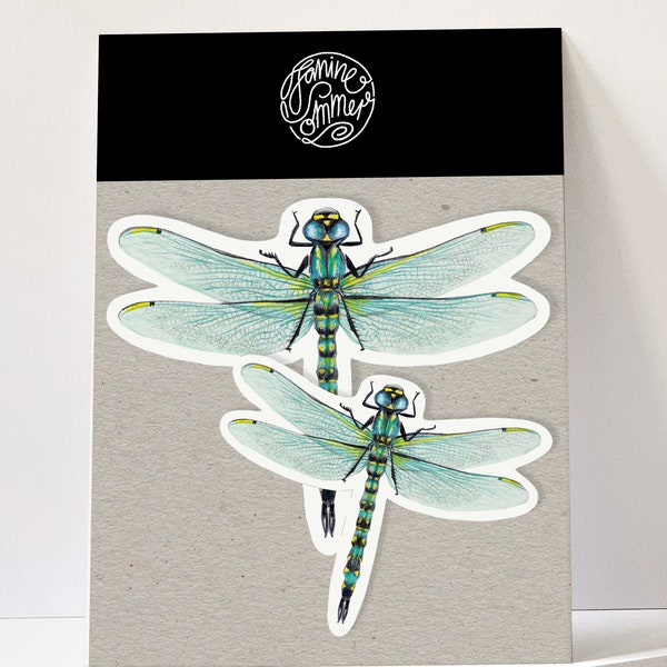 2 stickers, dragonfly, stickers, outdoor stickers, vegan