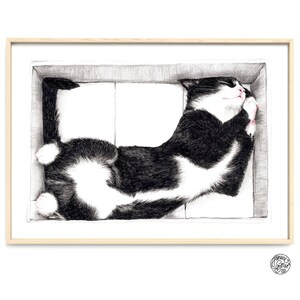 Cat in a Box Cat Drawing Portrait Drawing Fine Art Print, Giclée Print Illustration Poster Janine Sommer Animal Drawing image 5