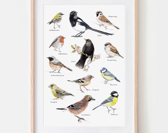 Gartenvögel Vögel im Garten  Fine Art Print, Giclée Print, Illustration Poster Janine Sommer Tierzeichnung Tierposter Vogelposter Stadtvögel