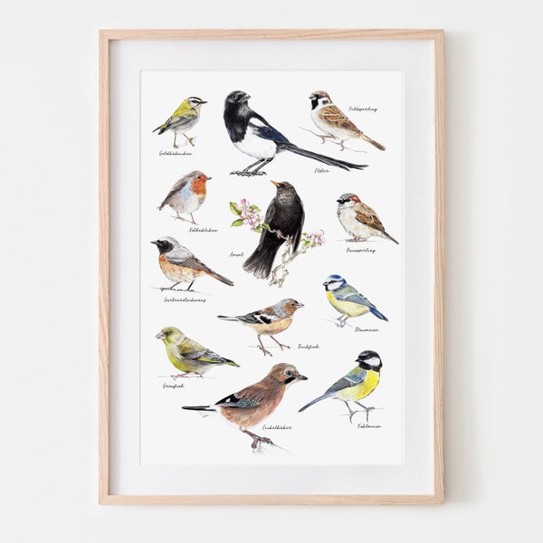Gartenvögel Vögel im Garten  Fine Art Print, Giclée Print, Illustration Poster Janine Sommer Tierzeichnung Tierposter Vogelposter Stadtvögel