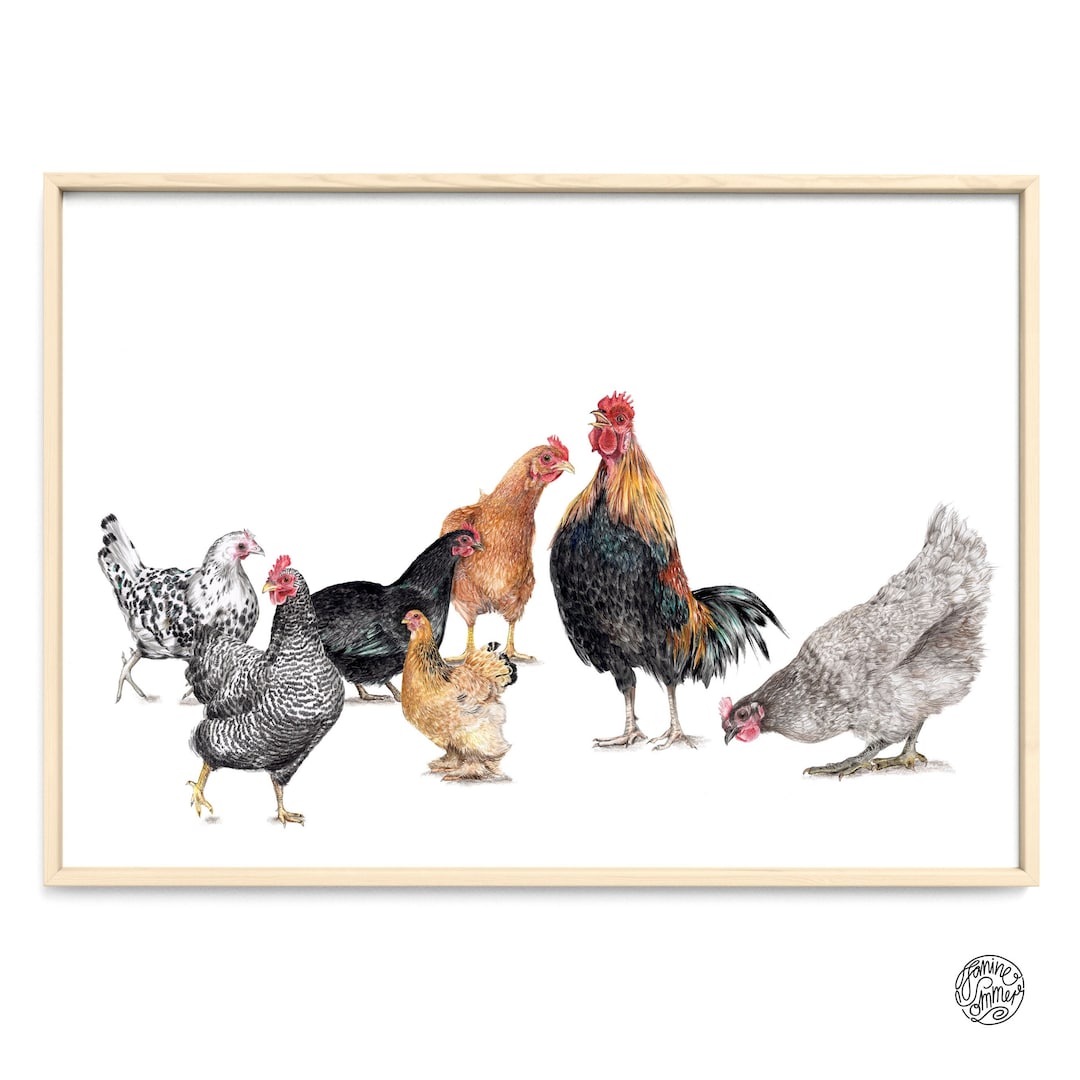 7 Hühner Porträt Zeichnung Fine Art Print, Giclée Print, Illustration
